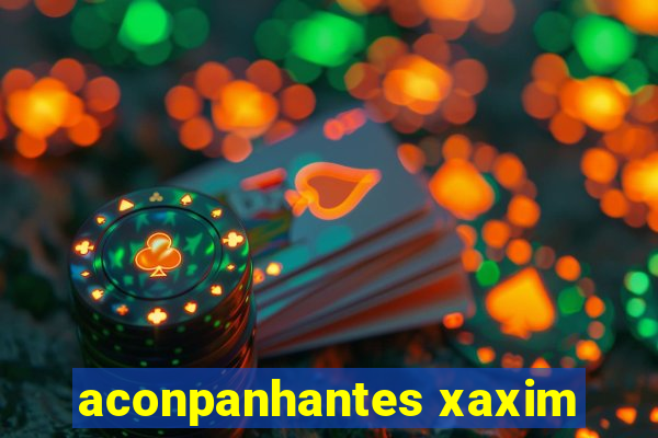 aconpanhantes xaxim